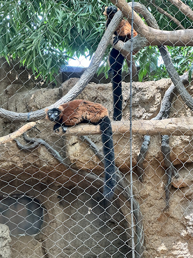 Aquarium Plaza 20250726 212818 012