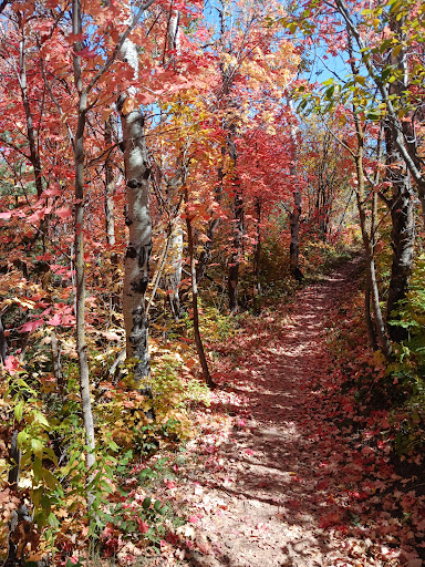 Arcylon Trailhead 20250727 033300 001