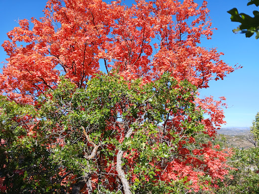 Arcylon Trailhead 20250727 033302 003