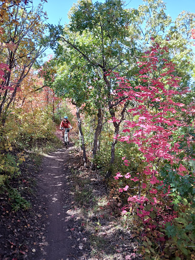 Arcylon Trailhead 20250727 033303 004