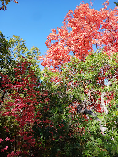 Arcylon Trailhead 20250727 033303 005