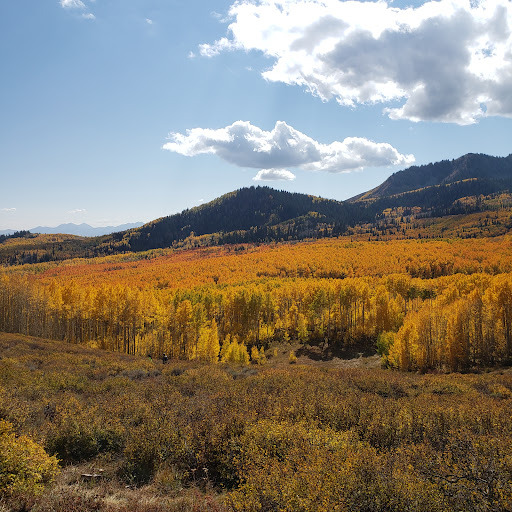 Arcylon Trailhead 20250727 033304 006