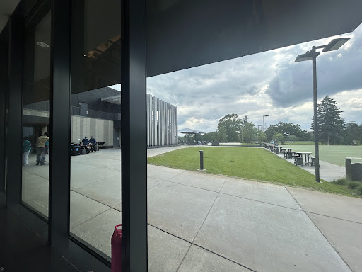 Backyard Indoor Playground 20250727 080056 002