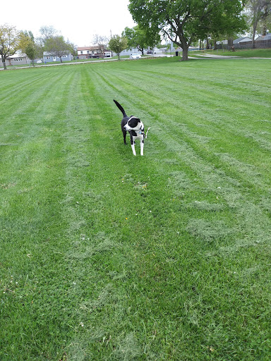 Bahnsen Park 20250727 040806 004