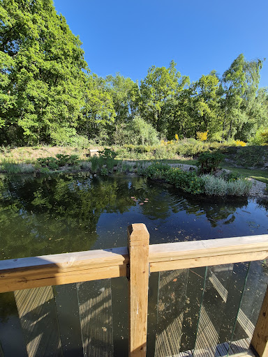 Bainland Lodge Retreats 20250808 165847 011