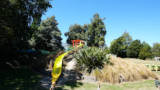 Ballinger Park Playground 20250818 170939 004