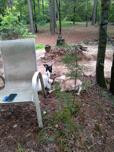 BarefootGee s Texas Primitive Tent self contained Rv Car campsite Rest Stop Group Campsites 20250726 195234 008
