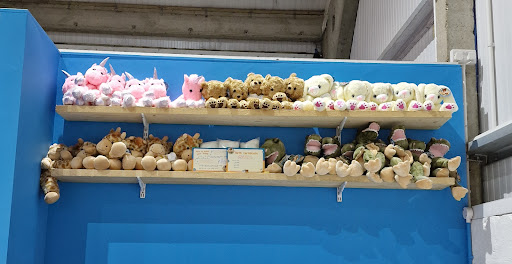 Base Camp 20250808 203859 008