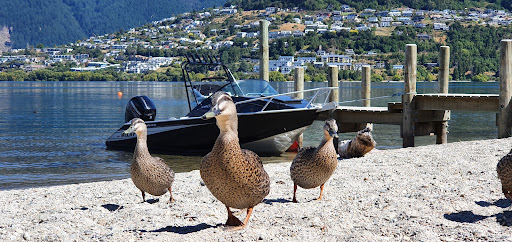 Bay View Reserve Playground 20250818 172735 004