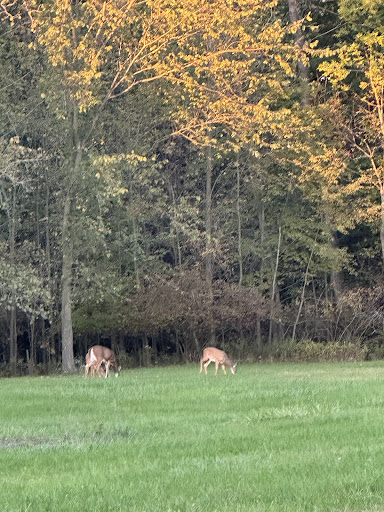 Beechwood Playground 20250727 034558 005