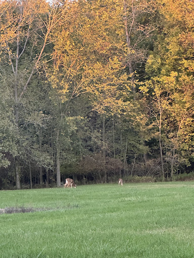 Beechwood Playground 20250727 034558 006