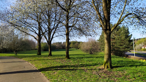 Belmont Park Play Park 20250808 155018 002