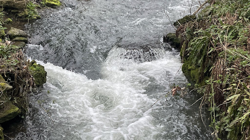 Belton House Adventure Playground 20250808 171525 003