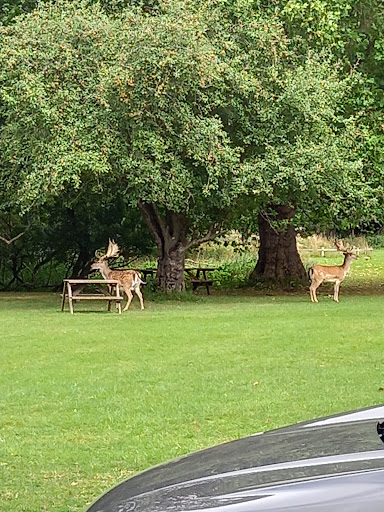 Belton House Adventure Playground 20250808 171527 006