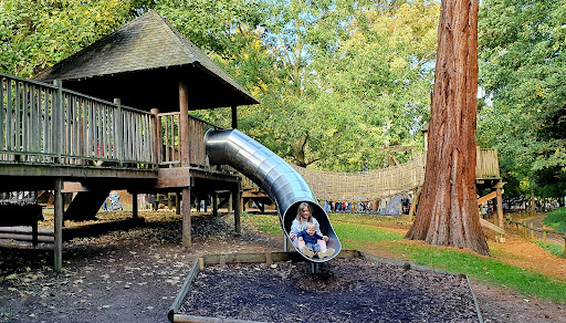 Belton House Adventure Playground 20250808 171532 012