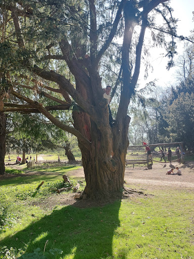 Belton House Adventure Playground 20250808 171533 013