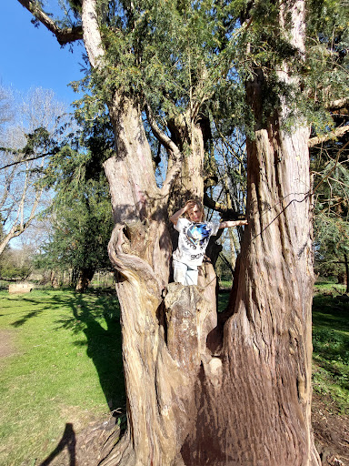 Belton House Adventure Playground 20250808 171535 015