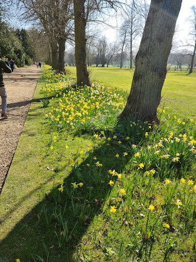 Belton House Adventure Playground 20250808 171536 016