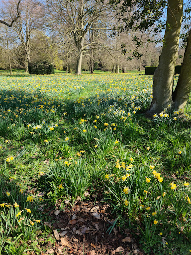 Belton House Adventure Playground 20250808 171536 017