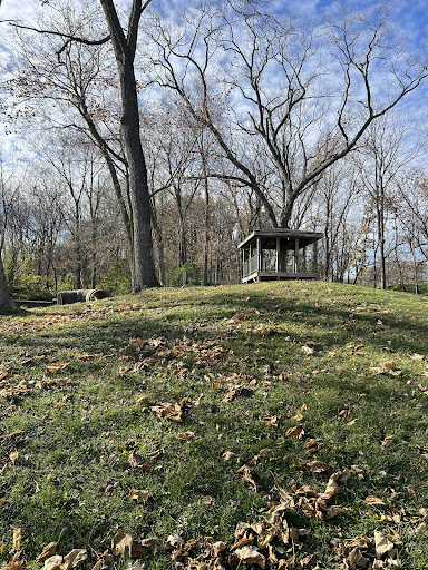Benton Hill Park 20250727 044803 008