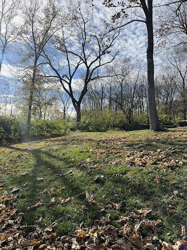 Benton Hill Park 20250727 044804 009