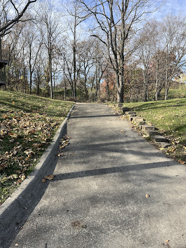 Benton Hill Park 20250727 044806 011
