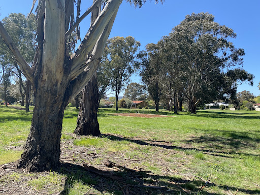 Bevan Street Playground 20250824 005311 006