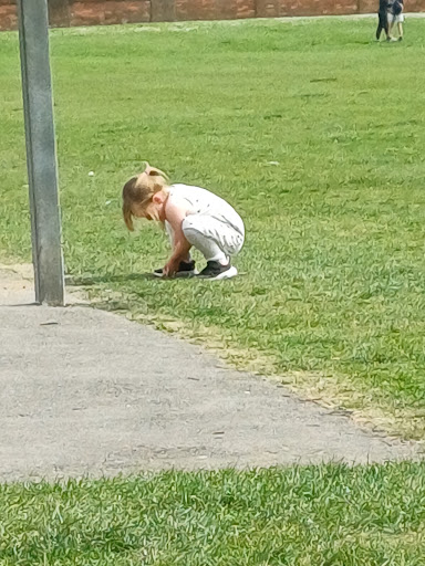 Bidbury Mead Rec Play Area 20250808 200353 003