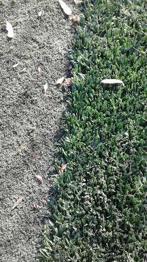 Big Bush Playground 20250727 103330 006