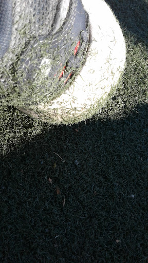 Big Bush Playground 20250727 103330 007