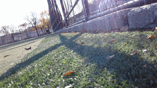 Big Bush Playground 20250727 103331 008