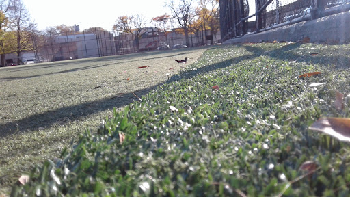 Big Bush Playground 20250727 103332 009