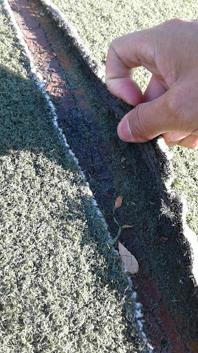 Big Bush Playground 20250727 103334 011