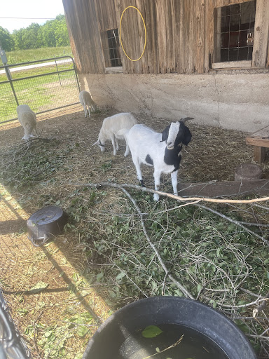 Big Creek RV Park  Arcadia Meadow Campground LLC 20250726 235655 001