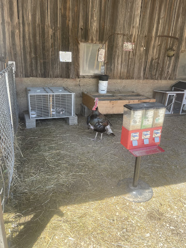 Big Creek RV Park  Arcadia Meadow Campground LLC 20250726 235657 004