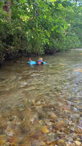 Big Creek RV Park  Arcadia Meadow Campground LLC 20250726 235700 007