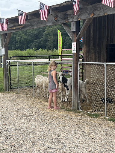 Big Creek RV Park  Arcadia Meadow Campground LLC 20250726 235706 015