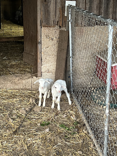 Big Creek RV Park  Arcadia Meadow Campground LLC 20250726 235707 016