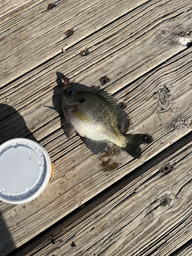 Big Lake Park 20250727 040736 001