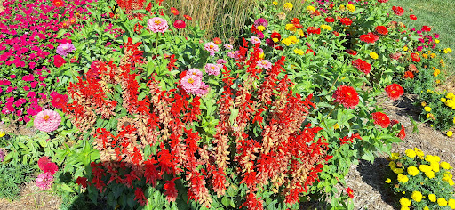 Big Lake Park 20250727 040747 015