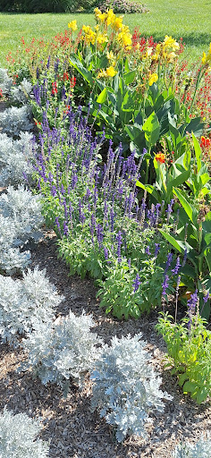 Big Lake Park 20250727 040747 016