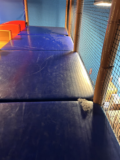 Billy Beez Kingston Collection 20250727 054945 004