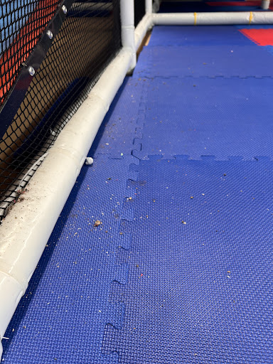 Billy Beez Kingston Collection 20250727 054946 005