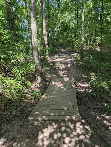 Bloomingdale Park 20250727 131901 013