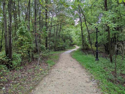 Bloomingdale Park 20250727 131906 016