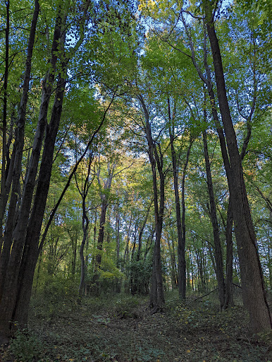 Bloomingdale Park 20250727 131907 017