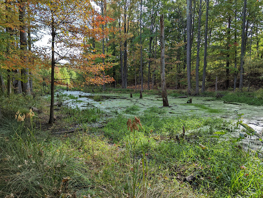 Bloomingdale Park 20250727 131910 020