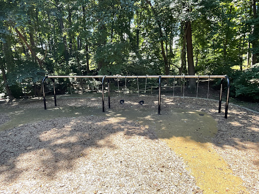 Bluemont Playground 20250727 121150 002