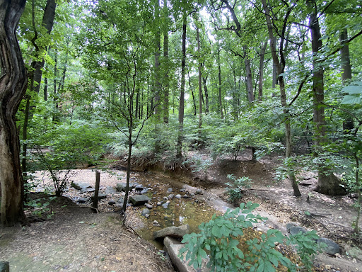 Bluemont Playground 20250727 121155 008