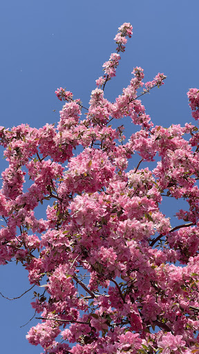 Boardman Marina Playground 20250727 083600 004